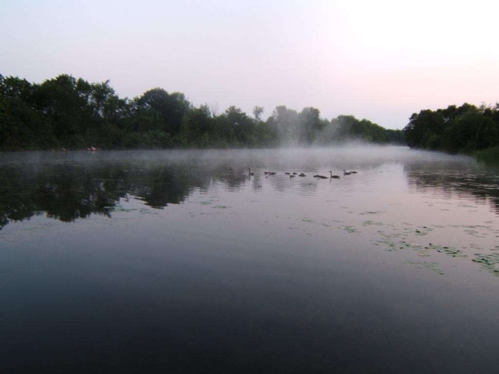 Liftlock Guest House Peterborough Esterno foto